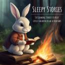 Sleepy Stories: 10 Calming Stories to Help Little Children Relax at Bedtime Audiobook