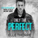 Only The Perfect Audiobook
