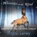 Winter of the Crystal Dances: A Wilderness Horse Adventure Audiobook