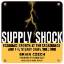 Supply Shock: Economic Growth at the Crossroads and the Steady State Solution Audiobook
