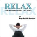 Relax: 6 Techniques to Lower Your Stress Audiobook