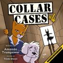 Case of the Stolen Scarab: A Christian Mystery For Kids Audiobook