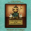 Secrets of the Plumed Saint: A Tale of Intrigue from Northern New Mexico Audiobook