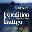 Expedition Indigo, Stacy Allen