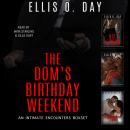 The Dom's Birthday Weekend: A second chance, curvy single mom, BDSM, erotic romantic comedy Audiobook