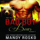 Bad Boy Bear Vol. 3