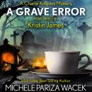 A Grave Error Audiobook