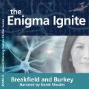 The Enigma Ignite Audiobook