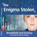 The Enigma Stolen Audiobook