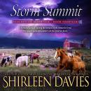 Storm Summit Audiobook