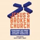 Jesus’s Broken Church: Reimagining Our Sunday Traditions from a New Testament Perspective Audiobook