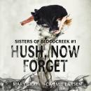 Hush, Now Forget Audiobook