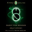 Quest For Roshan: A LitRPG Gamelit Fantasy Adventure: Enora Online: Book 2