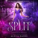 Split Audiobook
