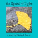 The Speed of Light: A Novel Audiobook
