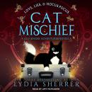 Love, Lies, and Hocus Pocus Cat Mischief: A Lily Singer Adventures Novella Audiobook