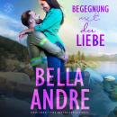 Begegnung mit der Liebe (Die Sullivans 3) Audiobook