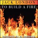 To Build a Fire: Classic Tales Edition Audiobook