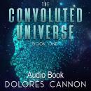 The Convoluted Universe, Book One Audiobook