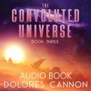 The Convoluted Universe, Book Three Audiobook