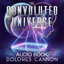 The Convoluted Universe, Book Two Audiobook