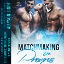 Matchmaking in Progress Audiobook