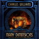 Many Dimensions Audiobook