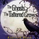 The Ghosts of the Tattered Crow Audiobook