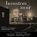 Houston Noir Audiobook