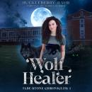 Wolf Healer: YA: LGBTQ+ Shifter Urban Fantasy Audiobook