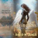 Wingless Audiobook
