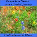 Escape Into Nature With A Guided Journey – Find Calm in the Chaos Audiobook