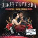 [Spanish] - Amor tumbado Audiobook