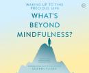 What's Beyond Mindfulness?: Waking Up to this Precious Life, Stephen Fulder