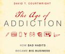 Age of Addiction: How Bad Habits Became Big Business Audiobook