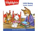 Little Bunny: Terrific Teachers Audiobook