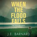 When the Flood Falls Audiobook
