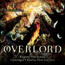 Overlord, Vol. 1 (light novel): The Undead King Audiobook