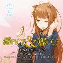 Spice and Wolf, Vol. 11: Side Colors II Audiobook