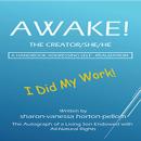 AWAKE!: The Creator/She/He   A Handbook Addressing Self-Realization Audiobook