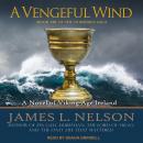 A Vengeful Wind: A Novel of Viking Age Ireland Audiobook