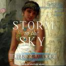 Storm in the Sky Audiobook