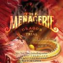 Cover of Dragon on Trial