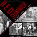 Cover of Red Summer: The Summer of 1919 and the Awakening of Black America