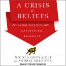 A Crisis of Beliefs: Investor Psychology and Financial Fragility Audiobook