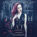 Touch of Fate Audiobook