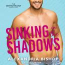 Sinking in the Shadows Audiobook