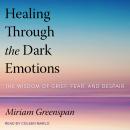 Healing Through the Dark Emotions: The Wisdom of Grief, Fear, and Despair Audiobook