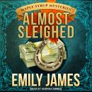 Almost Sleighed Audiobook