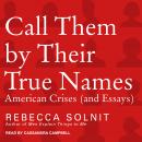 Call Them By Their True Names: American Crises (and Essays) Audiobook